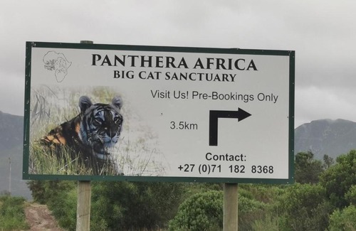 Van Dyks Bay House | Changing the Tides