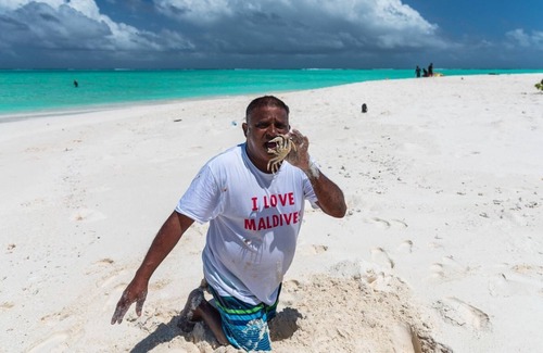 Maafushi Bed & Breakfast | Chao Guesthouse Maafushi - Chao Room 02