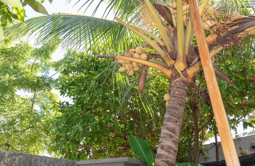 Maafushi Bed & Breakfast | Chao Guesthouse Maafushi - Chao Room 02