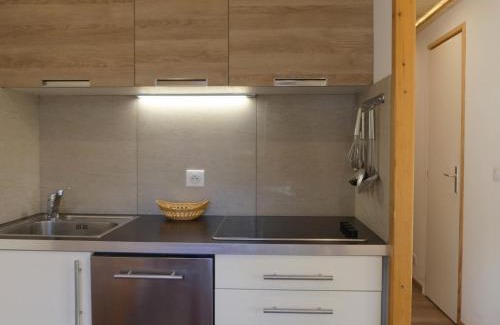 Meribel-Mottaret Apartment | Charmant 2 Pièces, Balcon Sud/Est à 200m des Pistes, Résidence Asphodèles, Les Allues - FR-1-182-185