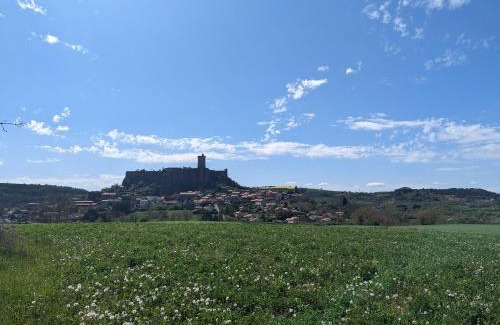 Le Puy-en-Velay House | Charmant 2 pièces au pied de la cathédrale, lumineux et tout inclus, idéalement situé en centre-ville. - FR-1-582-379