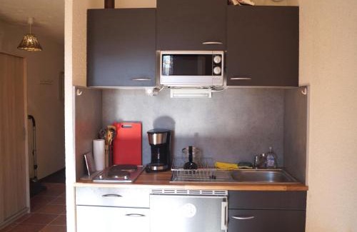 Barcelonnette Apartment | Charmant appartement T2 à Barcelonnette, 4 pers, balcon avec vue, parking - FR-1-165A-104
