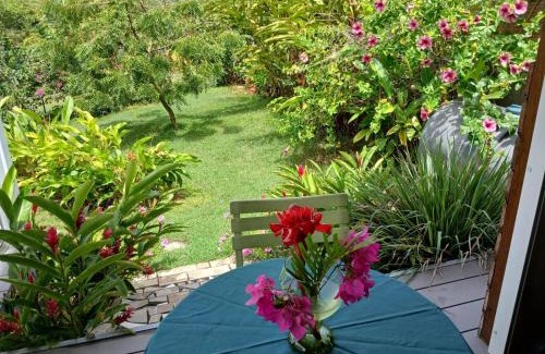 Petit-Canal Apartment | Charmant Bungalow Petit-Canal Le Moule Piscine Terrasse Jardin