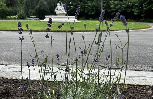 Groffliers Apartment | Charmant Studio, à 1km de la Baie D'authie