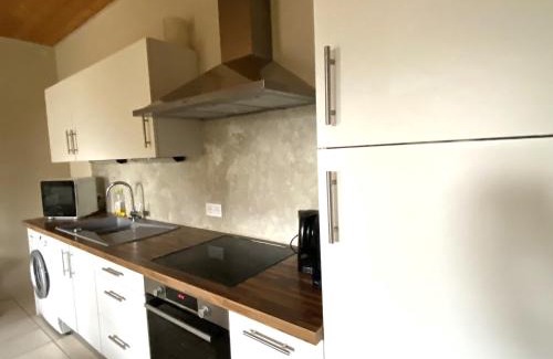 Groix Apartment | Charmant T2 RDC avec jardin privatif à 500m de Loctudy - FR-1-813-1