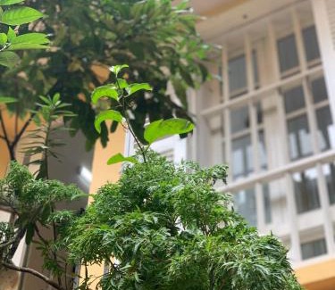 Hanoi Backpacker Quarter House | CharmCham house