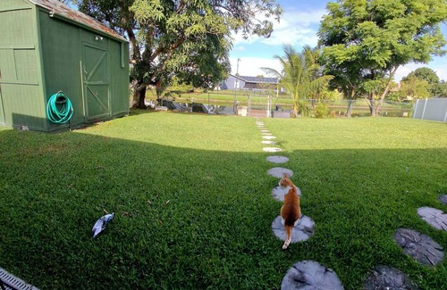 Royal Palm Beach Villa | Charming 1-bedroom/1 bath unit with AC, WiFi in welcoming Royal Palm Beach