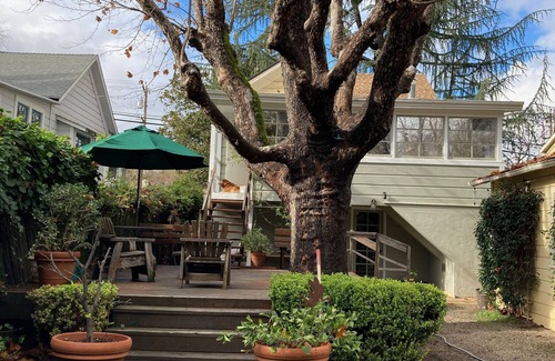 St. Helena Cottage | Charming 1920's cottage in St. Helena - walk to town