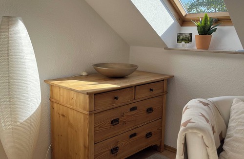 Mainz-Bingen Apartment | Charming, bright apartment with 3 bedrooms