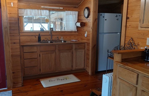 Washington Cabin | Charming but humble 2-bedroom cabin with WiFi and AC in Washington
