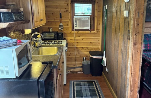 Kerrick Cabin | Charming cabin in delightful Duquette with AC near miles of ATV trails.