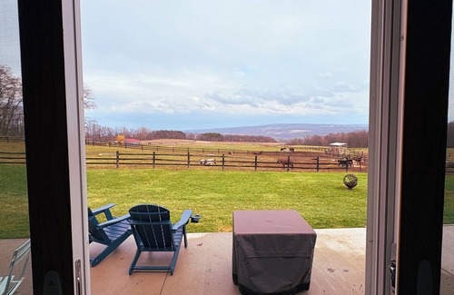Portage House | Charming Cabin on horse farm minutes from Letchworth State park