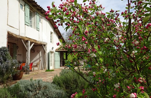 Lavit Cottage | Charming cottage in the French countryside