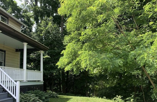 Saugerties South House | Charming home walking distance to town! AC , WIFi, Children and Pets welcome!