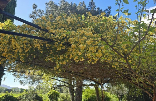 Travaillan House | Charming house