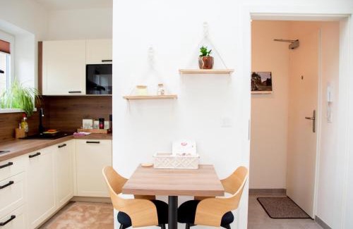 Tuchomerice Apartment | Charming studio near Prague Airport