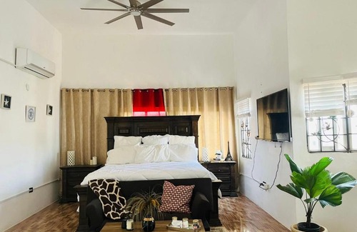 Albion House | Chasucourt