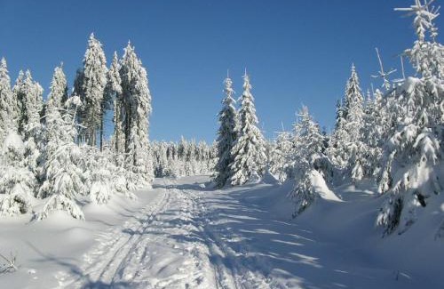 Josefov Dul Cabin | Chata Čert