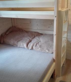 Suchdol nad Luznici House | Chata Cep