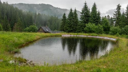 Liptovsky Jan Cabin | Chata DIANA - Kraviarky