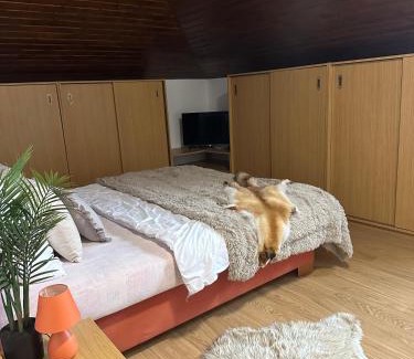 Dedinky Villa | Chata Jana Dedinky