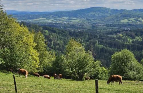 Hradek Cabin | chata Oáza klidu v Beskydech