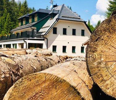 Nicov House | Chata pod Obřím hradem
