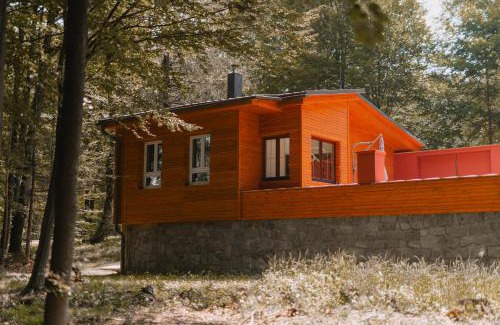 Mikulovice Apartment | Chata Spaní na peci