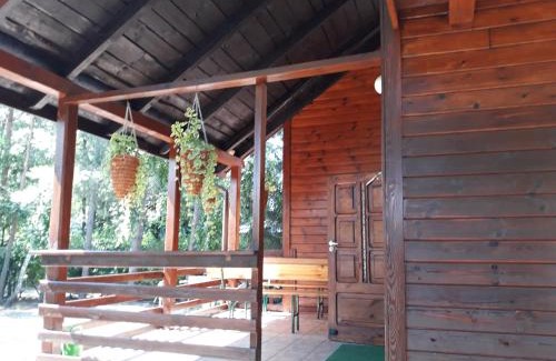 Okuninka House | Chata u Sylwii