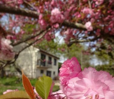 Chouzy-sur-Cisse House | Chez Flo et Marc