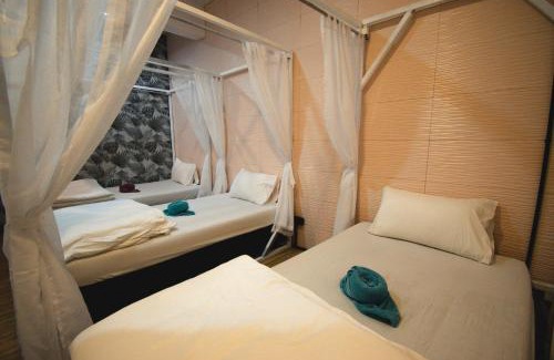 Khlong Sok Hostel | Chillax Khaosok Hostel - SHA Certified
