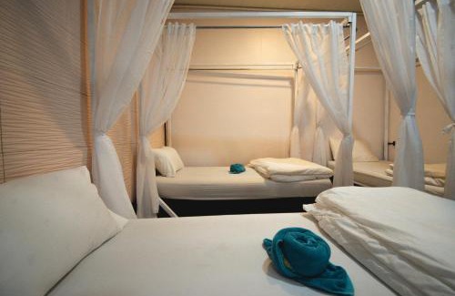 Khlong Sok Hostel | Chillax Khaosok Hostel - SHA Certified