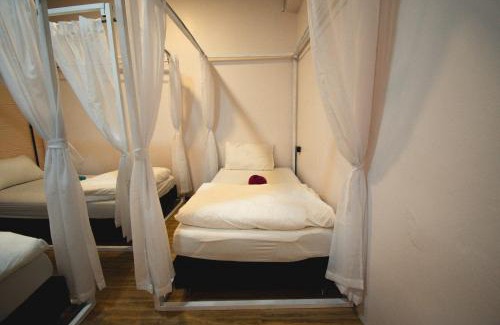 Khlong Sok Hostel | Chillax Khaosok Hostel - SHA Certified