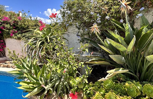 Chimenea Apartment | Chimenea 15 Private Pool by Casasol