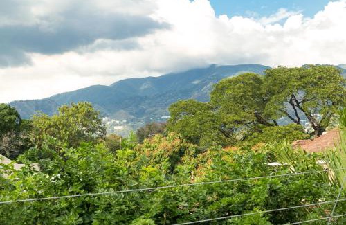 New Kingston Apartment | Choose To Be Happy at Seymour # 9 and #16 - Studio Apartments