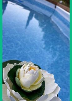 Neromilos Apartment | Chrysanthi's House