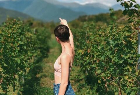 Shilda Bed & Breakfast | Chubini Winery & Cabins