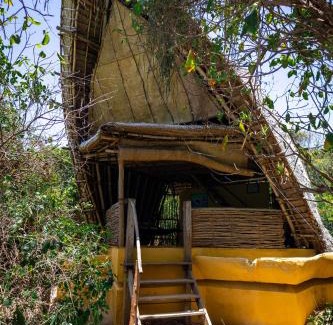 Chumbe Island Resort | Chumbe Island Coral Park