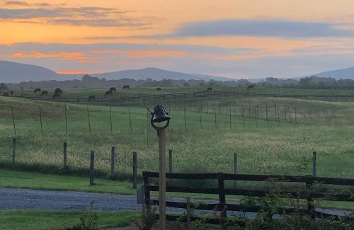 Waynesboro Bed & Breakfast | Cider House Bed and Breakfast