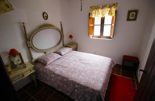 Santiago do Cacem House | Cidrão dos Brejos