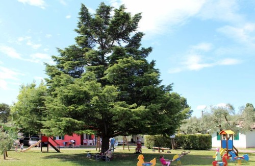 Gralaoni-Pralesi-Cisano House | Cisano & San Vito by Interhome