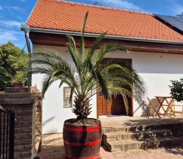 Palkonya House | CitrusLiget Vendégház