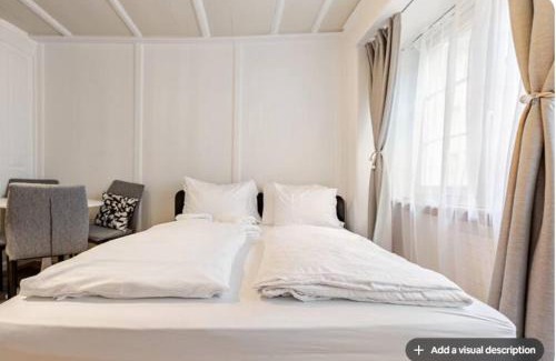 Niederdorf Apartment | City Center Apt With AC in Zurich Old Town