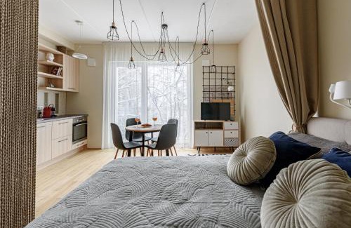 Old Town Apartment | City center, studio, 514