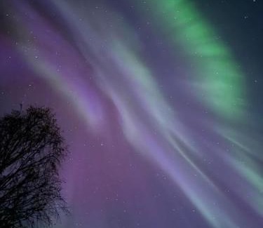 Rovaniemi Apartment | Cityhome Kaarto