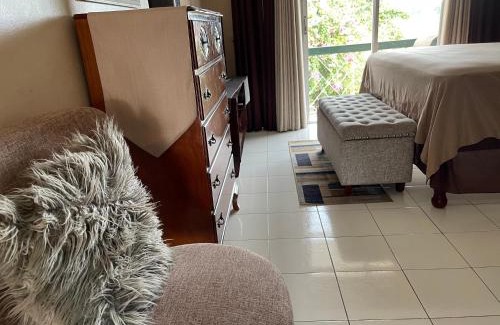 New Kingston Apartment | Cityscape at Chelsea Manor/New Kingston Studio!