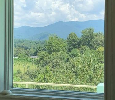 Weaverville House | Cl To Dt Asheville & Weaverville- Apartment Inc