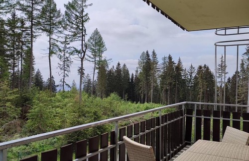 Stutzengrun Apartment | Clara H B to 4 - 2 nights - Haus Kuhberg
