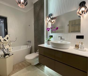Satu Mare Villa | Class Luxury Residence