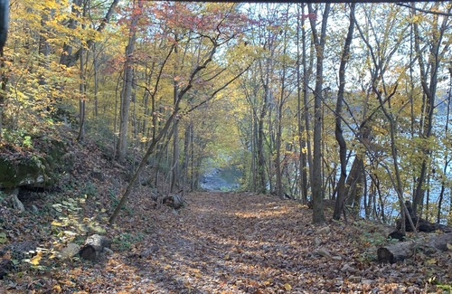 Burnside House | Clean, cozy 2 BR 1 BA house with deck, lake view, lake access, minutes to LCRH